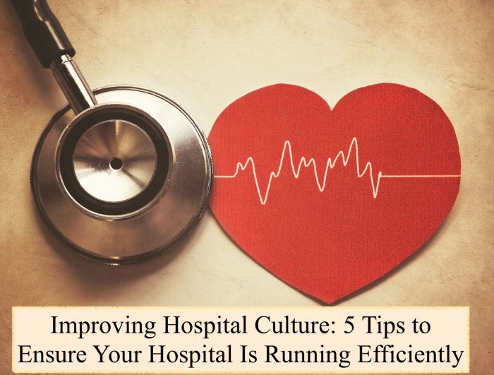 Hospital Culture