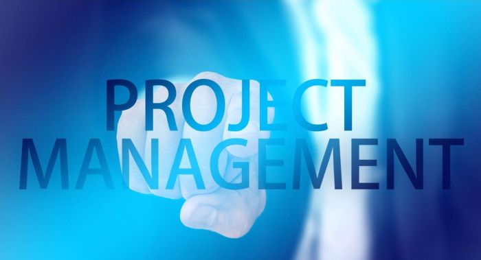 Project management